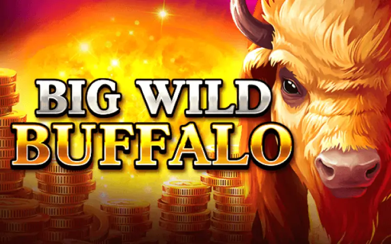 Roam the wild plains for heavy payouts in the Big Wild Buffalo slot.