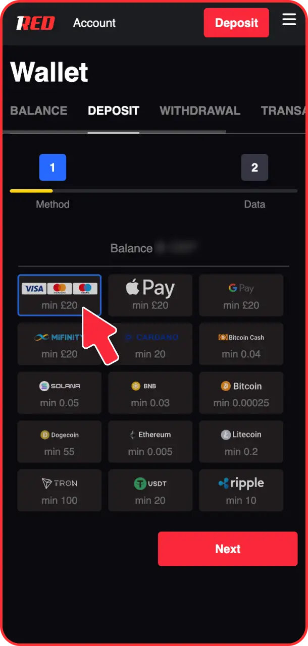 Choose a deposit method from the variety of options available on the 1Red platform.